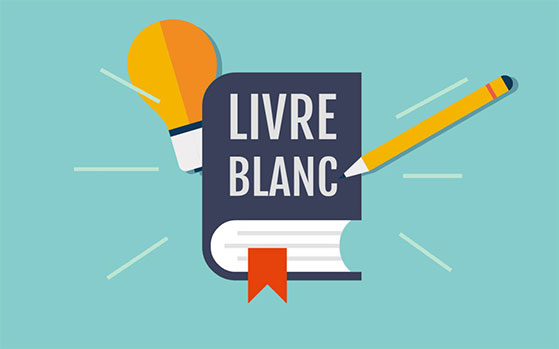 Livre blanc